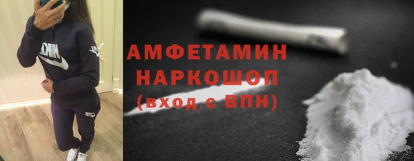 стаф Алзамай